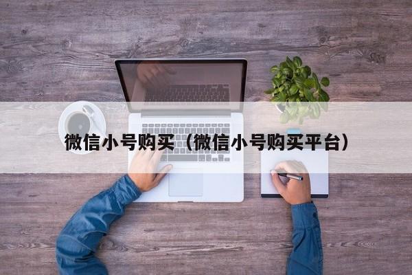 微信小号购买（微信小号购买平台）
