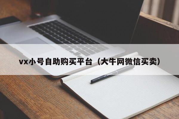 vx小号自助购买平台（大牛网微信买卖）