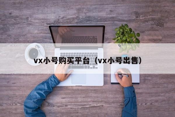 vx小号购买平台（vx小号出售）