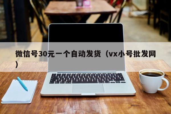 微信号30元一个自动发货（vx小号批发网）
