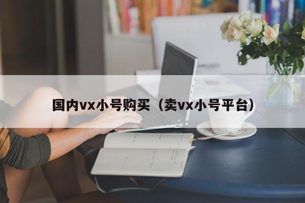 国内vx小号购买（卖vx小号平台）