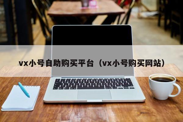 vx小号自助购买平台（vx小号购买网站）