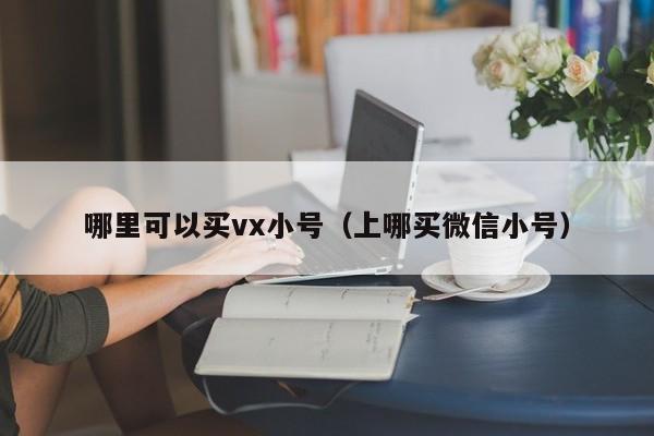 哪里可以买vx小号（上哪买微信小号）