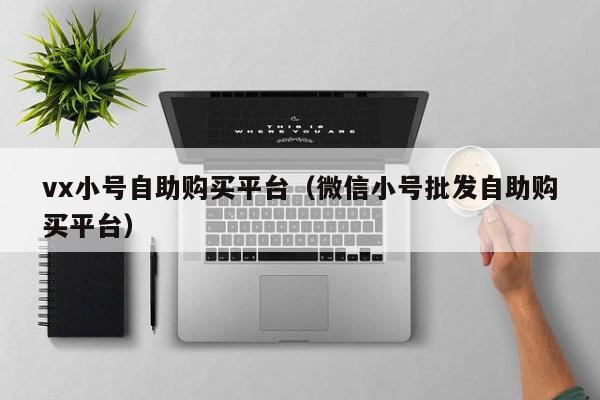 vx小号自助购买平台（微信小号批发自助购买平台）