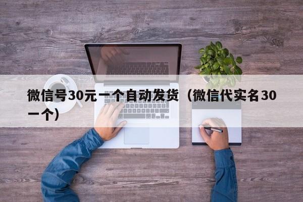 微信号30元一个自动发货（微信代实名30一个）