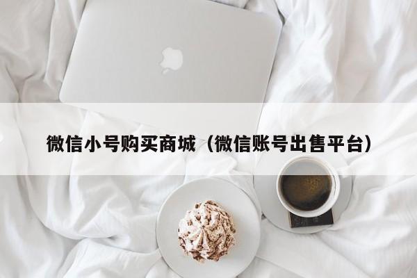 微信小号购买商城（微信账号出售平台）