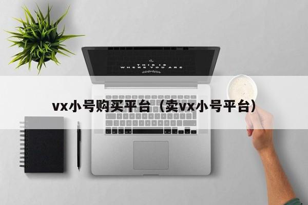 vx小号购买平台（卖vx小号平台）